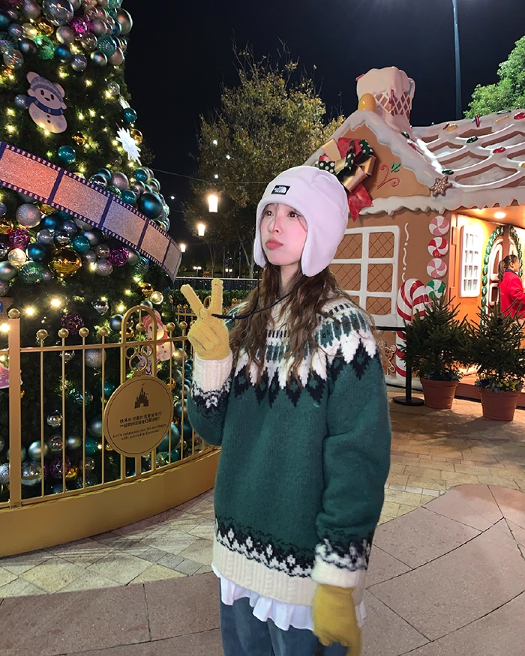 Nordic Pattern Knit Sweater B0012