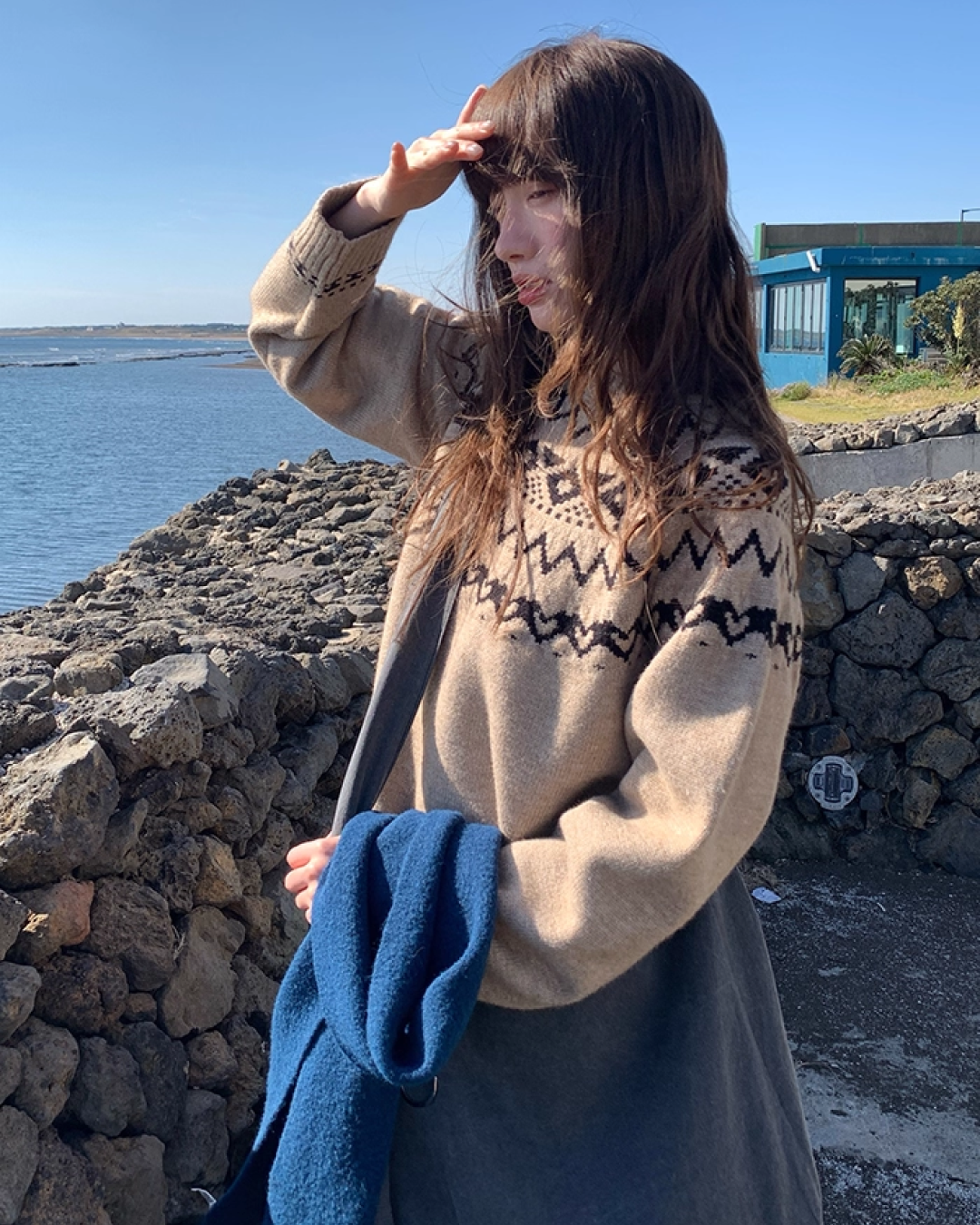 Nordic Pattern Knit BU0054