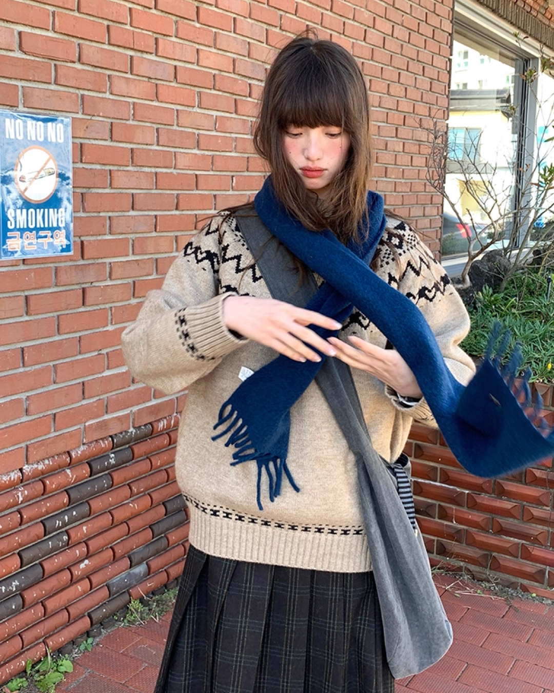 Nordic Pattern Knit BU0054