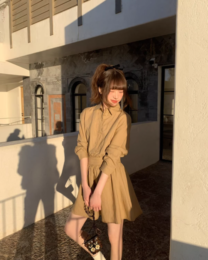 Brown Shirt Dress BU0169