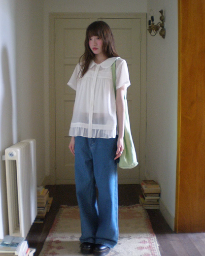 Short Sleeve Sheer Shirt Dress BU0249