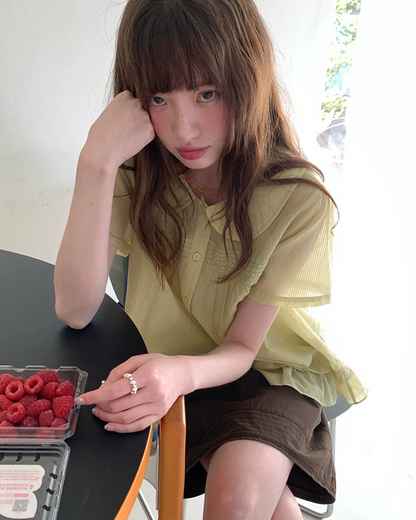 Short Sleeve Sheer Shirt Dress BU0249